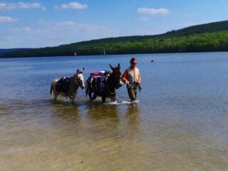 Apartment Clavy-Warby Umgebung 24