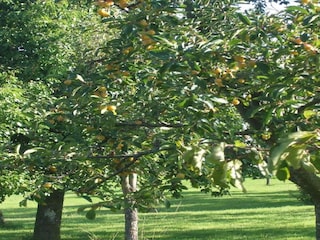 Apartment Clavy-Warby Umgebung 11