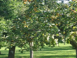 Appartamento Clavy-Warby Ambiente 10