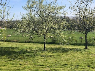 Apartment Clavy-Warby Umgebung 16