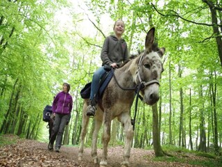 Apartamento Clavy-Warby Entorno 28