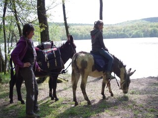 Appartement Clavy-Warby Environnement 25