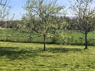 Apartamento Clavy-Warby Entorno 36