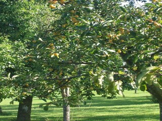 Appartamento Clavy-Warby Ambiente 18