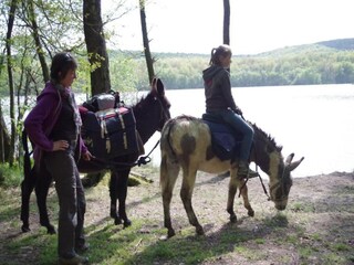 Apartment Clavy-Warby Environment 20