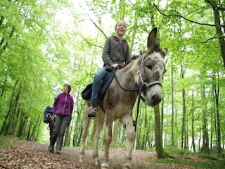 Apartment Clavy-Warby Umgebung 13