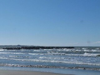 Appartement Le Grau-du-Roi Omgeving 7