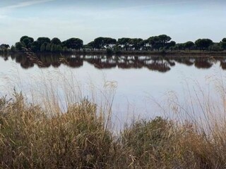 Appartement Le Grau-du-Roi Environnement 42