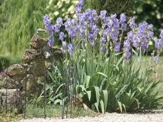 Holiday house Pertuis (Vaucluse)  40