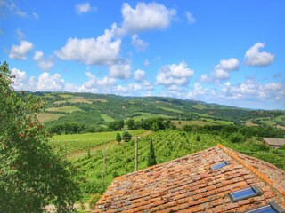 Farmhouse Castiglione d'Orcia Environment 33