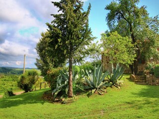 Farmhouse Castiglione d'Orcia Outdoor Recording 15