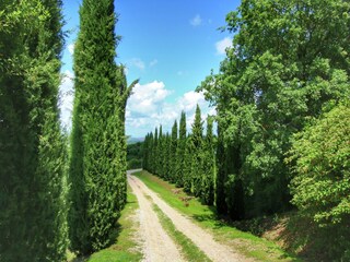 Farmhouse Castiglione d'Orcia Environment 34