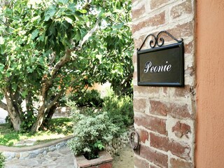 Type de propriété : Ferme Villastrada Umbra  36