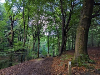 Vakantiepark Plasmolen Omgeving 35