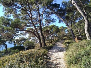 Parc de vacances Oud-Turnhout Environnement 22