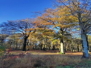 Parque de vacaciones Oud-Turnhout Entorno 35