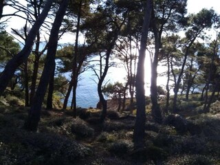 Parco vacanze Oud-Turnhout Ambiente 22