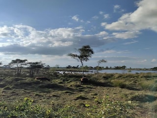 Vakantiepark Oud-Turnhout Omgeving 19