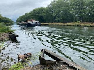 Vakantiepark Oud-Turnhout Omgeving 33