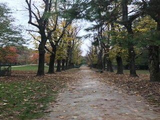 Vakantiepark Oud-Turnhout Omgeving 13