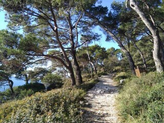 Parc de vacances Oud-Turnhout Environnement 21