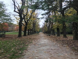 Parc de vacances Oud-Turnhout Environnement 15