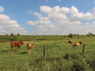 Vakantiepark Oud-Turnhout Omgeving 23
