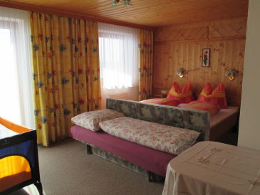 Holiday apartment Appartement Hasenauer