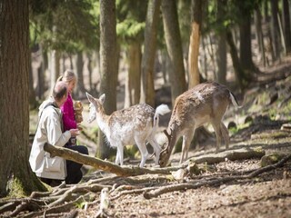 Ferienpark Oud-Turnhout Umgebung 15