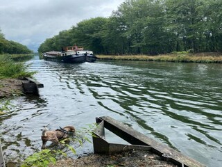 Vakantiepark Oud-Turnhout Omgeving 10