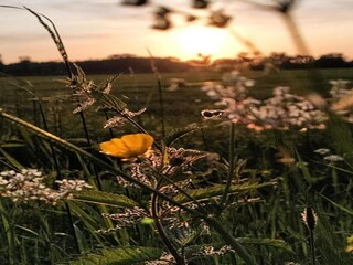 Parc de vacances Oud-Turnhout Environnement 21