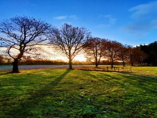 Vakantiepark Oud-Turnhout Omgeving 24