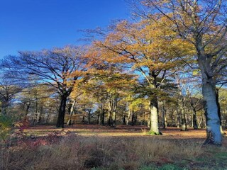 Parc de vacances Oud-Turnhout Environnement 27