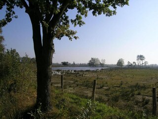 Ferienpark Oud-Turnhout Umgebung 34
