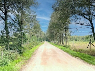 Holiday park Oud-Turnhout Environment 28