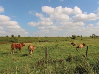 Holiday park Oud-Turnhout Environment 57