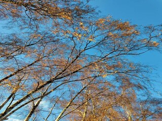 Ferienpark Oud-Turnhout Umgebung 23