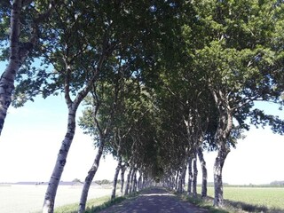 Vakantiepark Oud-Turnhout Omgeving 15