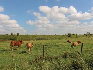 Vakantiepark Oud-Turnhout Omgeving 36