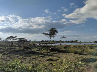 Parc de vacances Oud-Turnhout Environnement 29