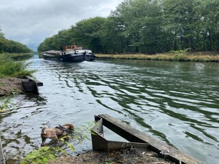 Vakantiepark Oud-Turnhout Omgeving 21