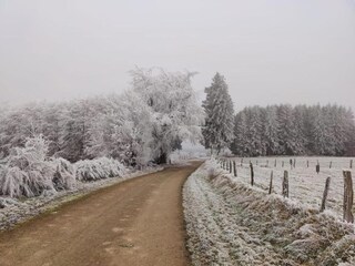 Vakantiepark Manhay Omgeving 36