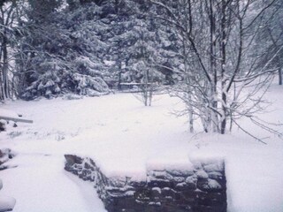 Parco vacanze Manhay Ambiente 22