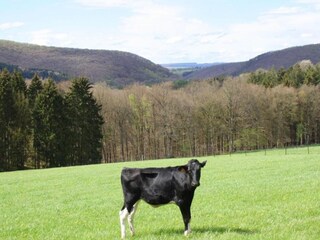 Ferienpark Manhay Umgebung 34