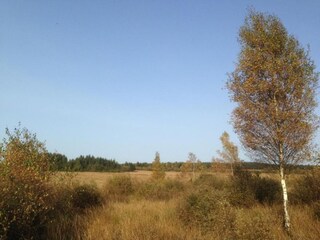 Parc de vacances Manhay Environnement 31