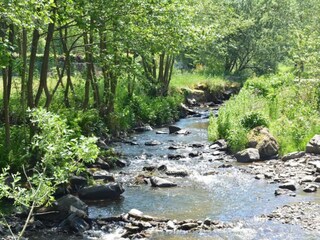 Vakantiepark Manhay Omgeving 32