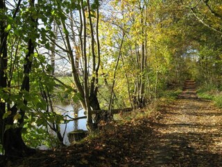 Vakantiepark Manhay Omgeving 19