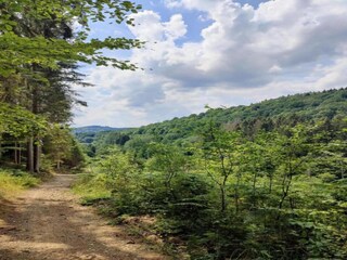 Parc de vacances Manhay Environnement 26