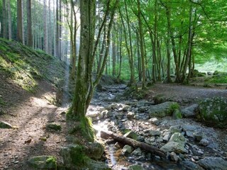 Parc de vacances Manhay Environnement 12