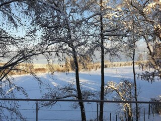 Ferienpark Manhay Umgebung 43